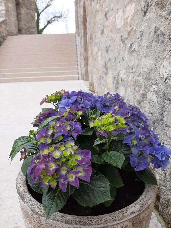 Vinica Castle Hotel Bagian luar foto